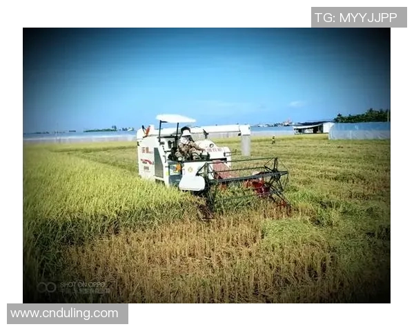 当年足球明星重返赛场看今朝他们的风采与时代的变迁